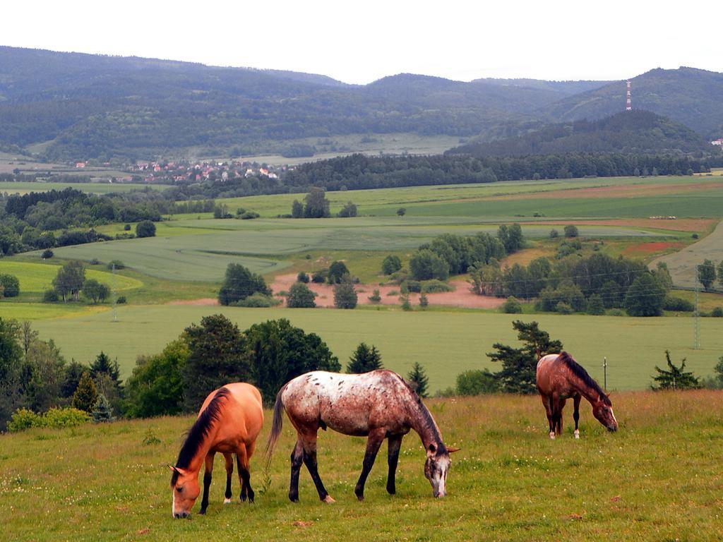 Penzion Bor Наход Экстерьер фото