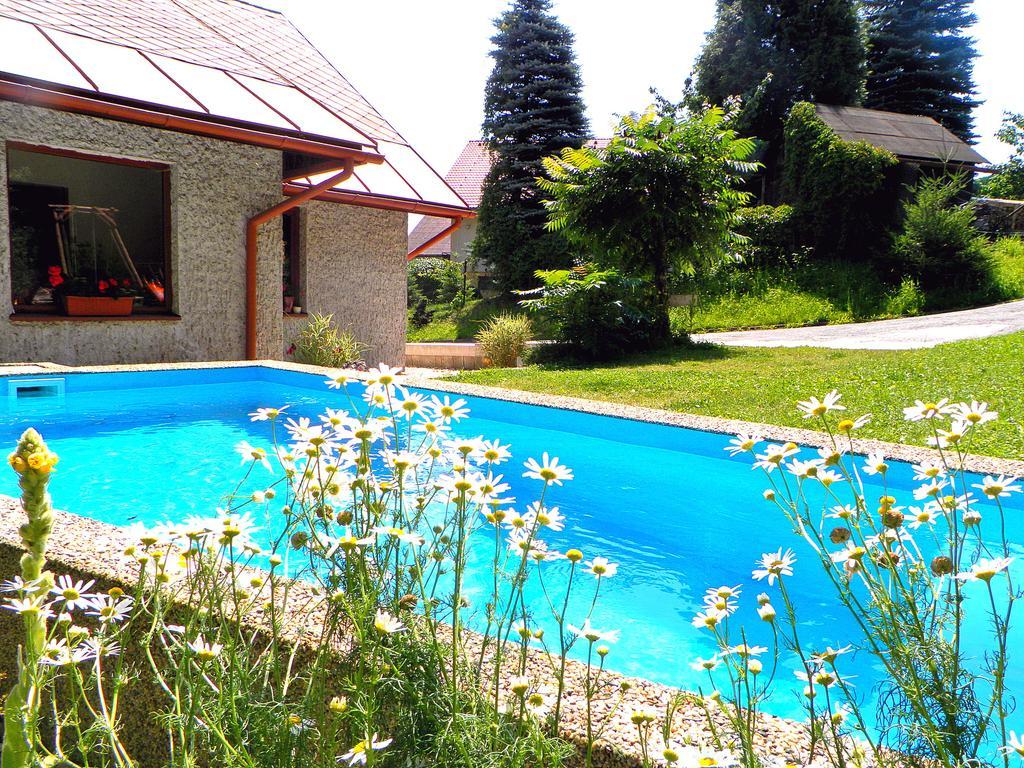 Penzion Bor Наход Экстерьер фото